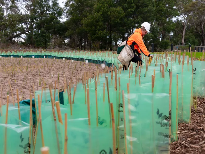 Sustainability Policy