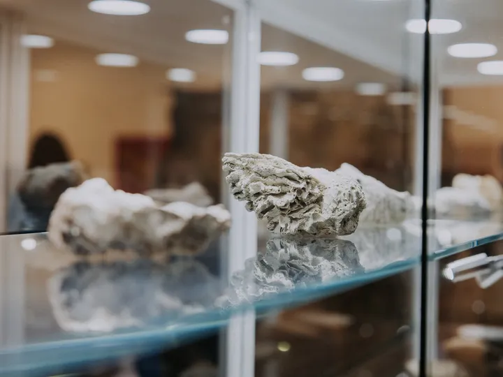 cultural-leadership-immersion-54